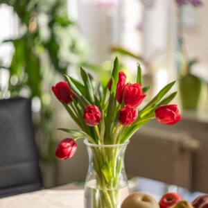 Tulip Elegance